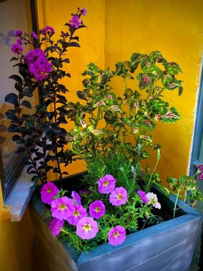 Higos Chumbos, Casa Rural Compartido Chiclana de la Frontera Ngoại thất bức ảnh