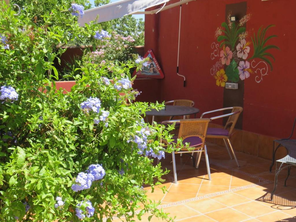 Higos Chumbos, Casa Rural Compartido Chiclana de la Frontera Ngoại thất bức ảnh