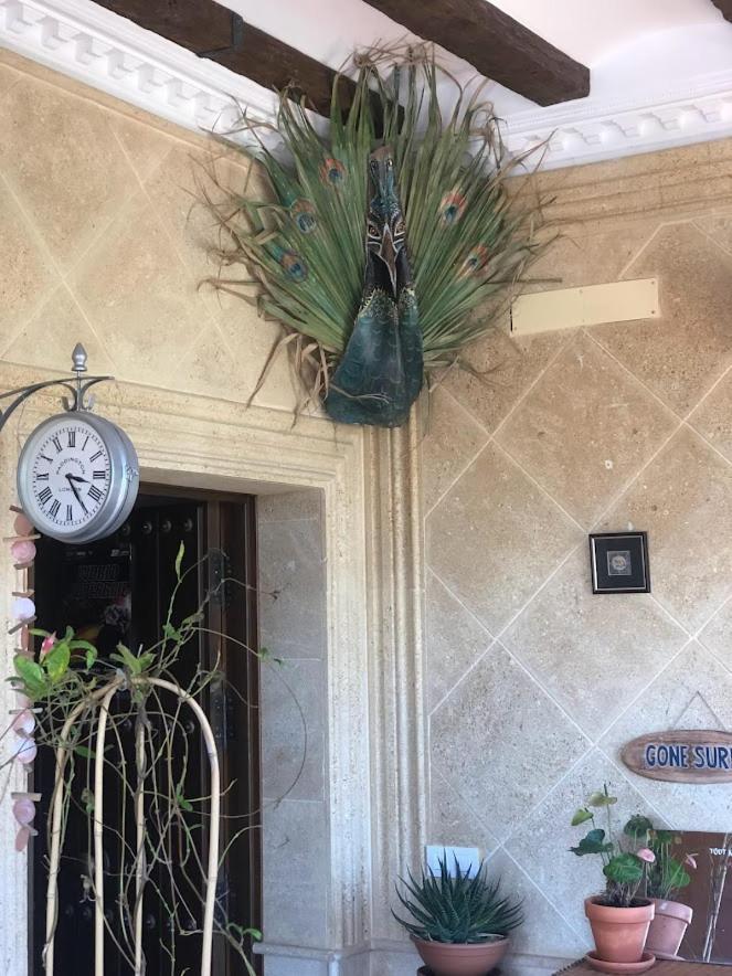 Higos Chumbos, Casa Rural Compartido Chiclana de la Frontera Ngoại thất bức ảnh