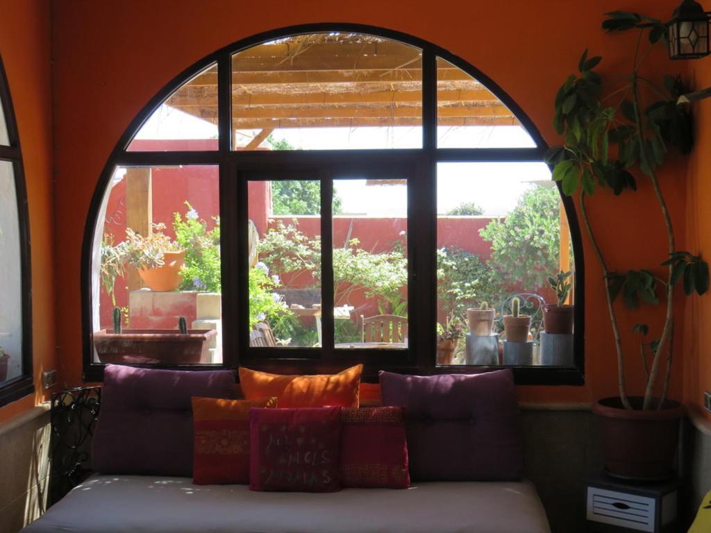 Higos Chumbos, Casa Rural Compartido Chiclana de la Frontera Ngoại thất bức ảnh